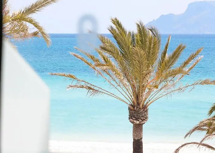Bonavida Apartments Port de Alcudia  photo