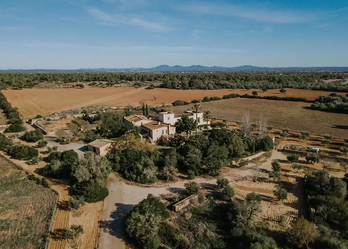 Finca Es Llobets - Adults Only S'Estanyol de Migjorn photo