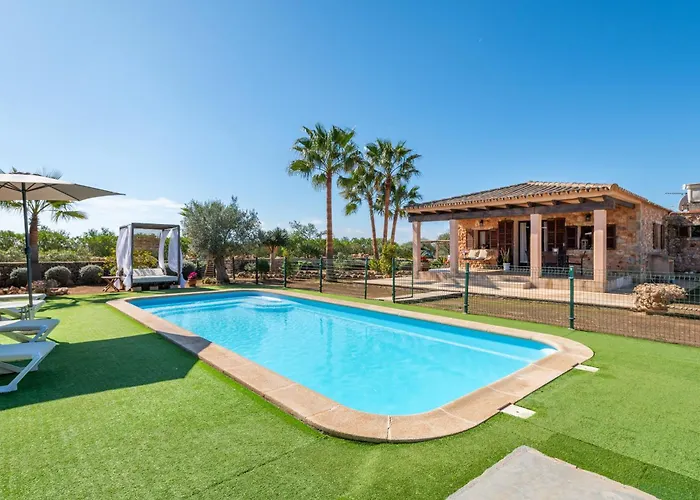 Ses Oliveres Campos  photo