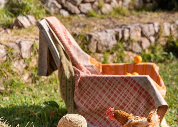 Agroturismo Son Viscos Valldemossa  photo