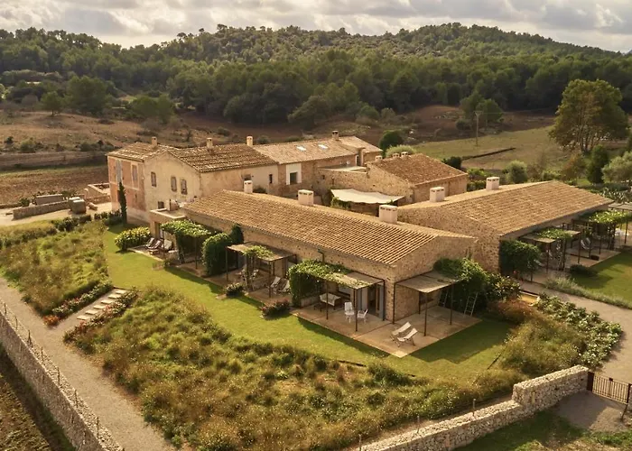 Finca Sestelrica Arta photo